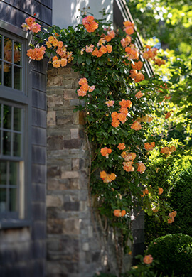 Landscape Details office exterior