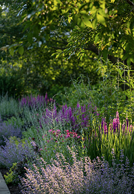 Photo by Landscape Details